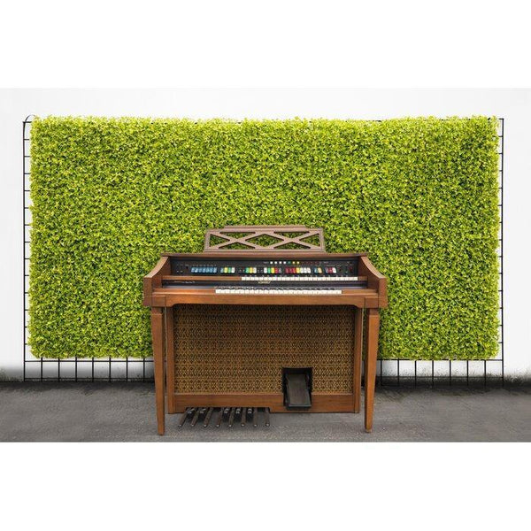 20 ft. H x 20 ft. W Cress Panel Hedge Artificial Polyethylene Privacy Screen (Set of 12)