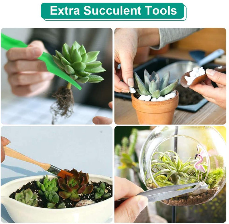 82 Pcs Garden Tools Set, Extra Succulent Tools Set